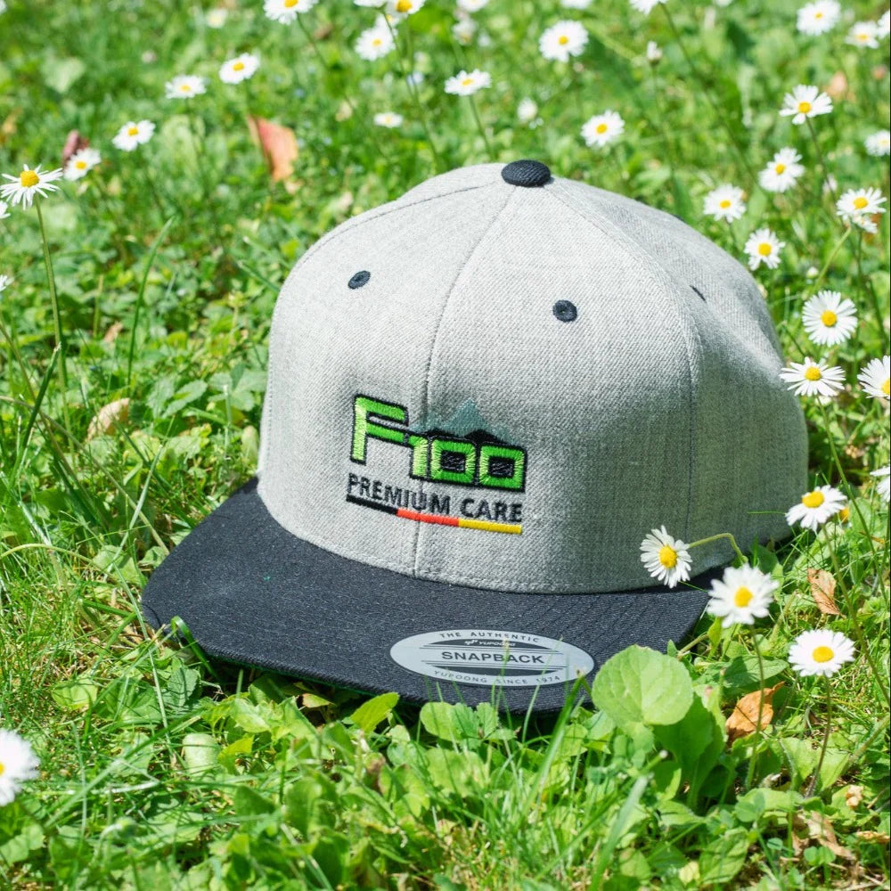 Dr. Wack F100 Cap - 9137 - Weigola Premium Autopflege seit 1883
