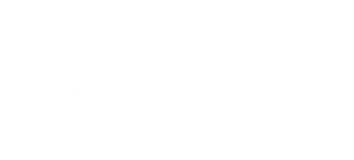Weigola Premium Autopflege seit 1883