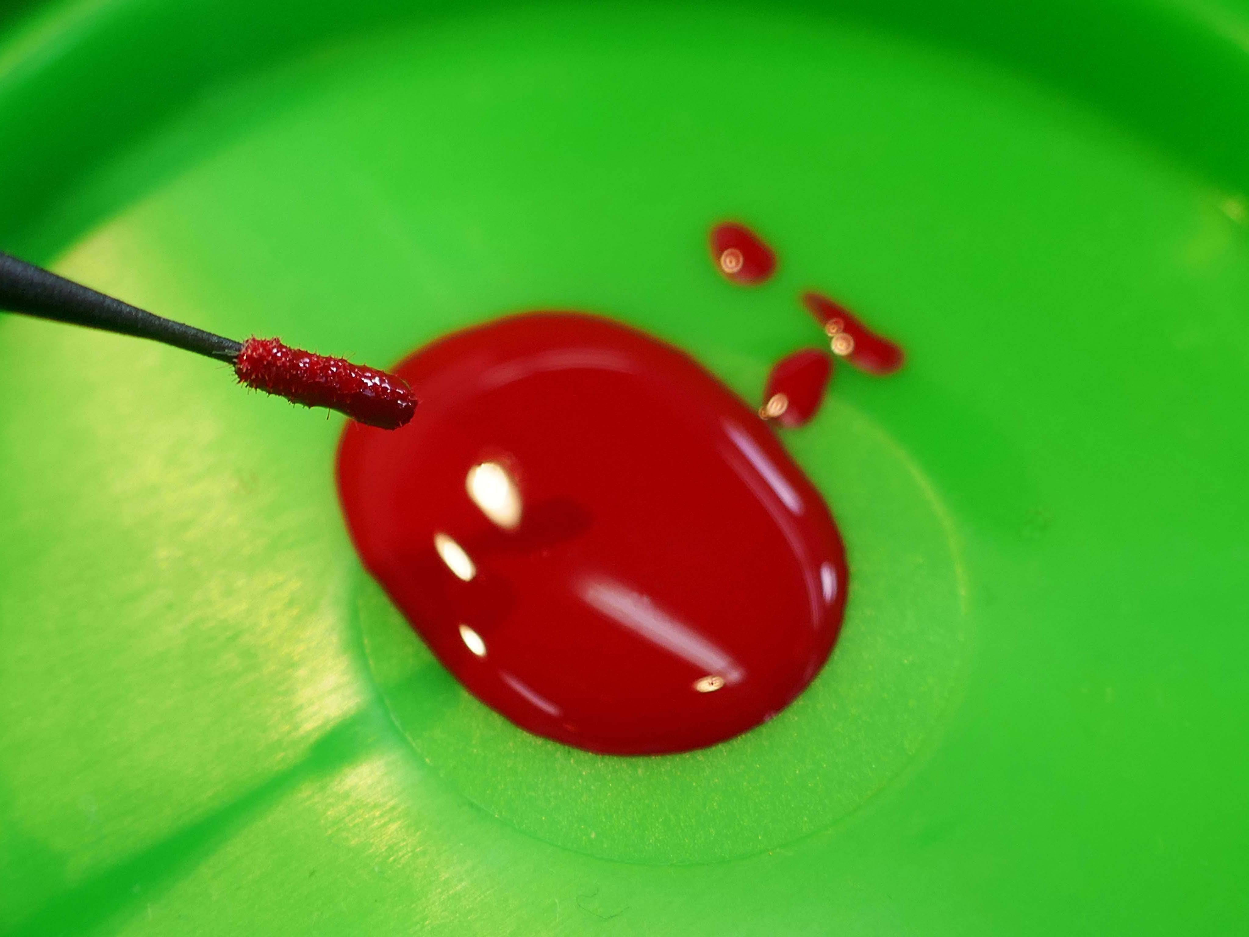 COLOURLOCK Mini-Pinsel 10 Stück - Weigola Premium Autopflege seit 1883