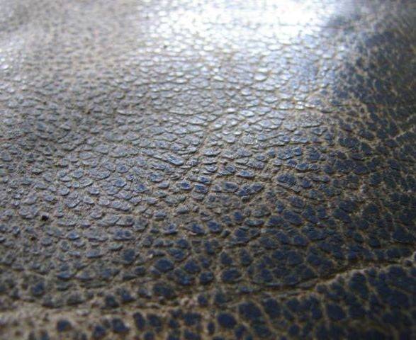 COLOURLOCK Farbe neutral - Weigola Premium Autopflege seit 1883