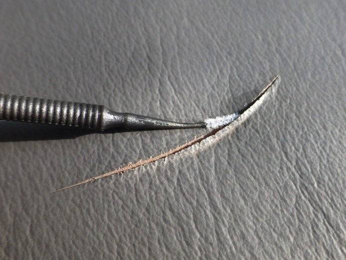 COLOURLOCK Lederkleber Riss-Reparatur-Set - Weigola Premium Autopflege seit 1883